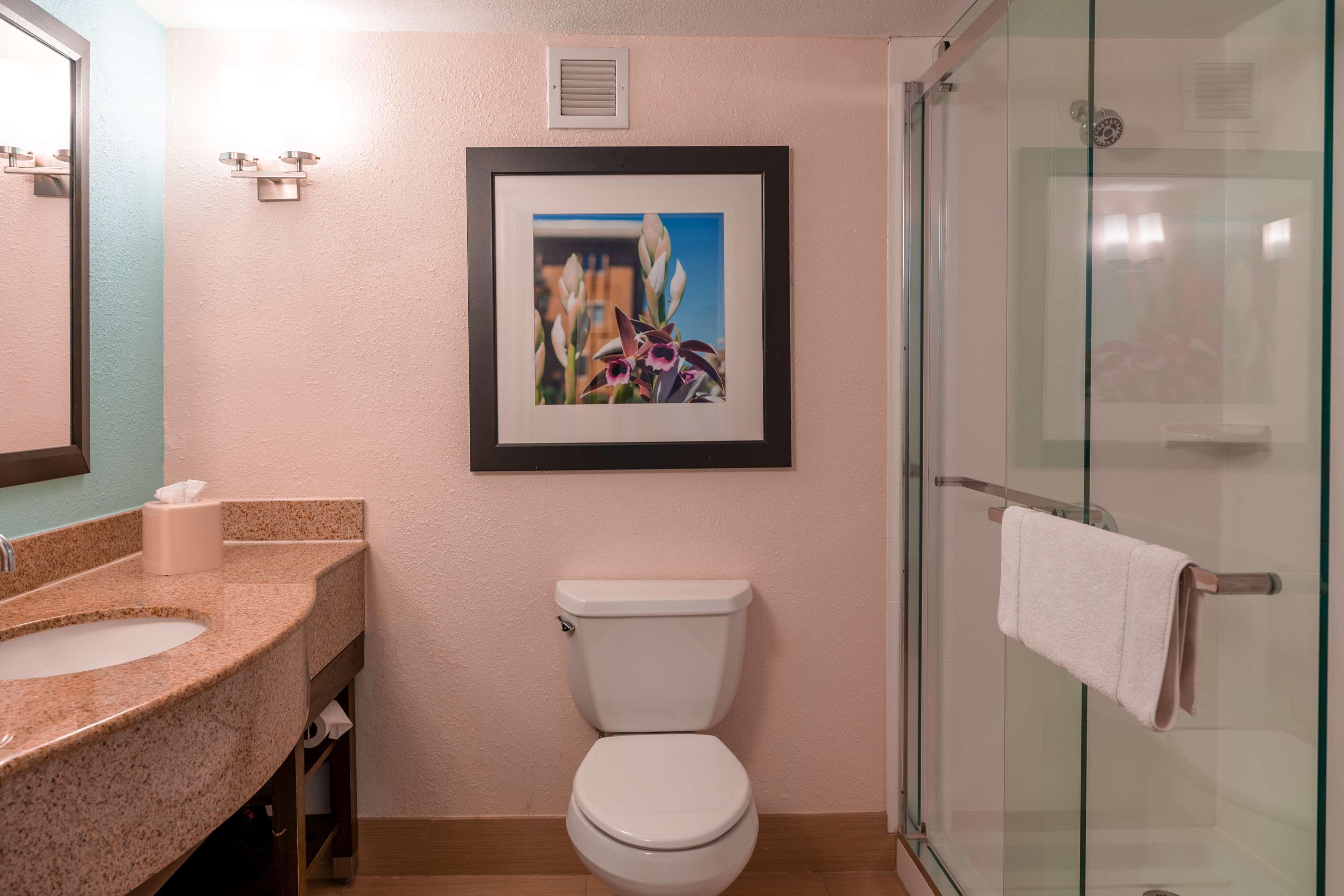 Hilton Garden Inn Orlando East - Ucf Area Alafaya Eksteriør bilde