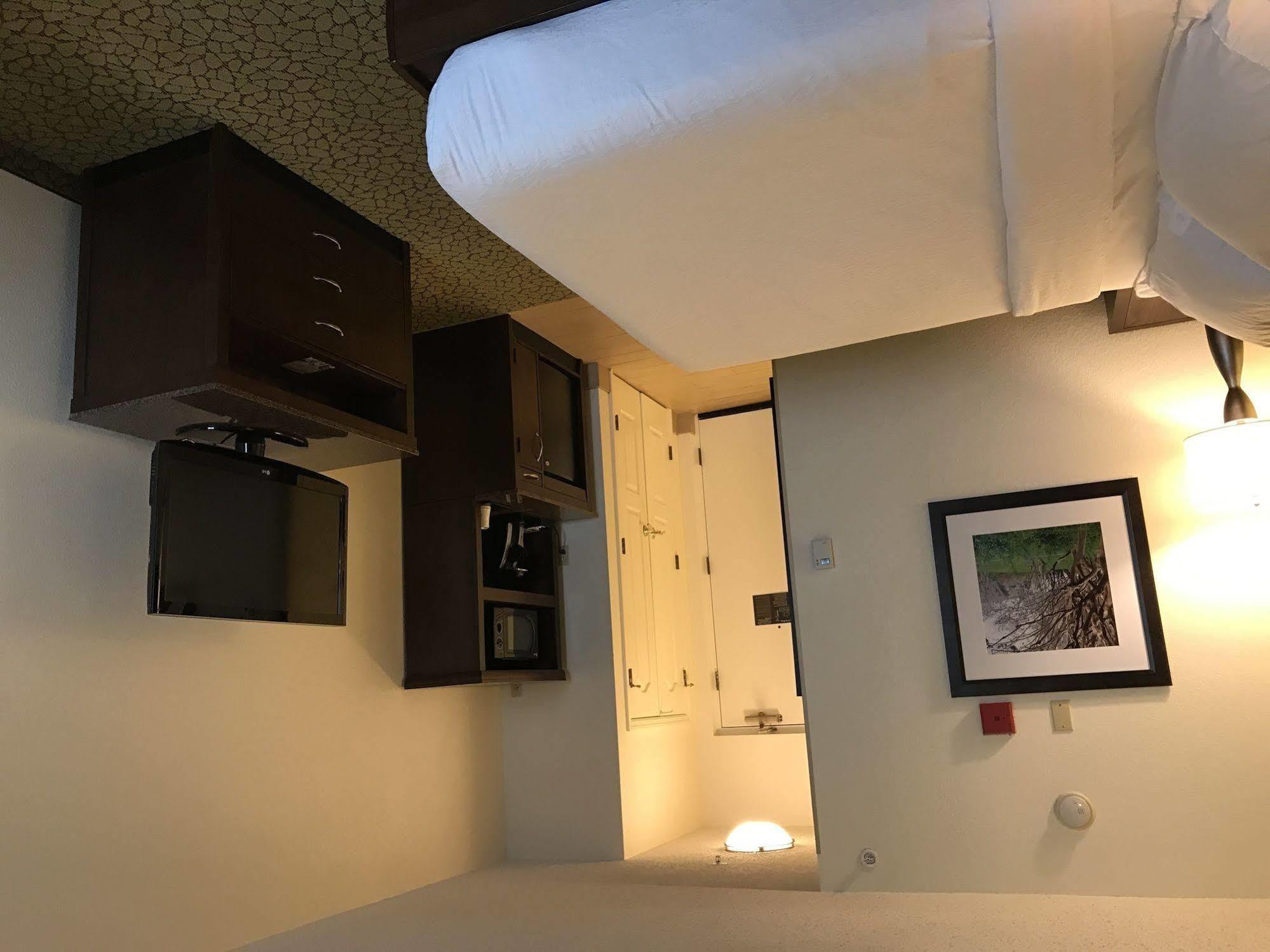 Hilton Garden Inn Orlando East - Ucf Area Alafaya Eksteriør bilde